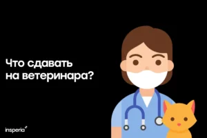 Что сдавать на ветеринара: полное руководство для абитуриентов что сдавать на ветеринара