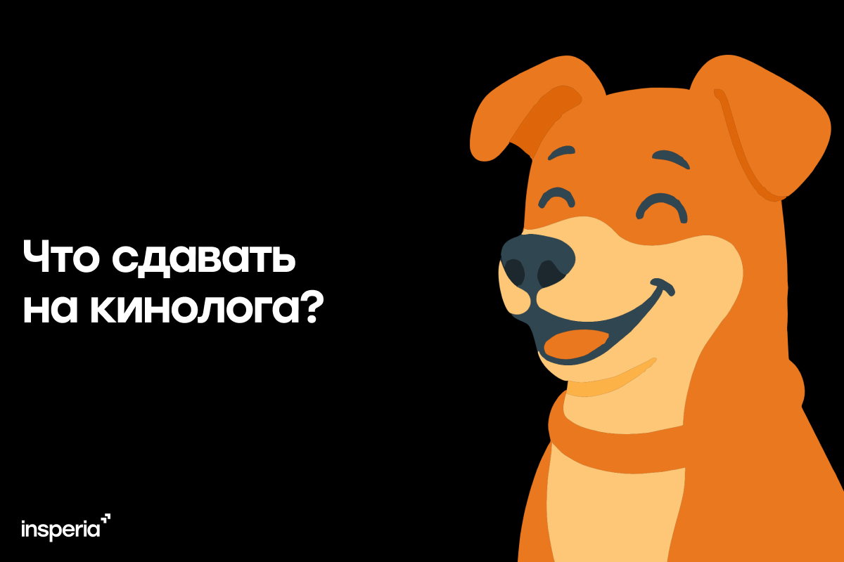 Что сдавать на кинолога